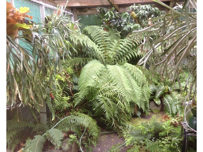 31 Goulburn Weir – Murchison Road, Kirwans Bridge VIC 3608