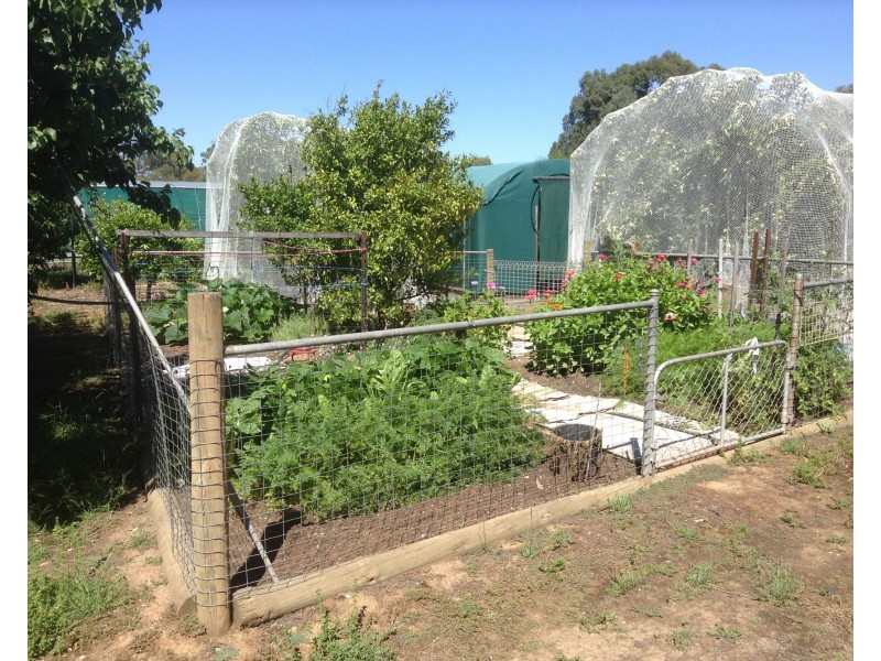 31 Goulburn Weir – Murchison Road, Kirwans Bridge VIC 3608