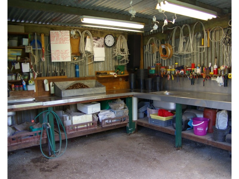 31 Goulburn Weir – Murchison Road, Kirwans Bridge VIC 3608