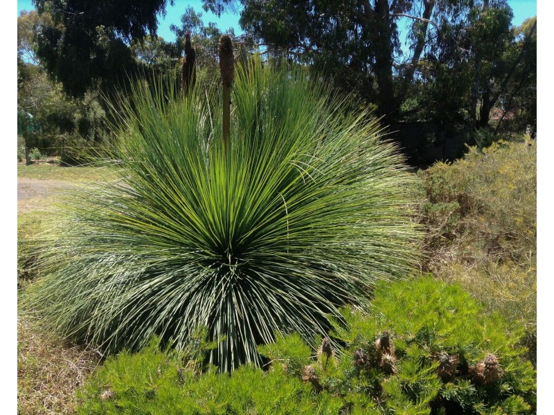 31 Goulburn Weir – Murchison Road, Kirwans Bridge VIC 3608