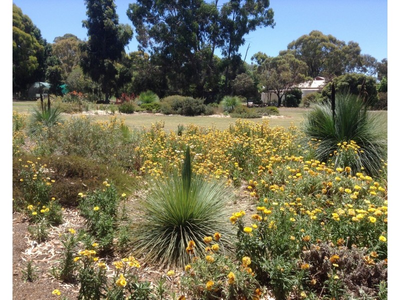 31 Goulburn Weir – Murchison Road, Kirwans Bridge VIC 3608