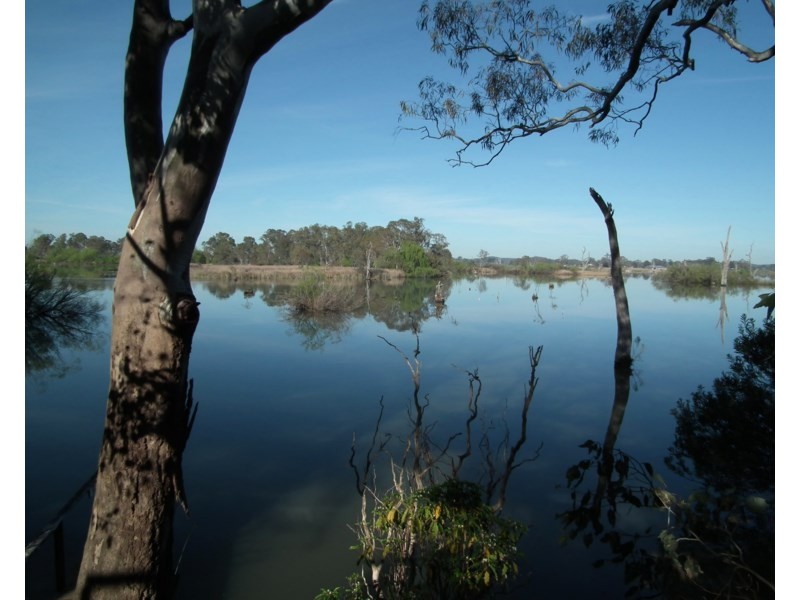 36 McLeod Street, Nagambie VIC 3608