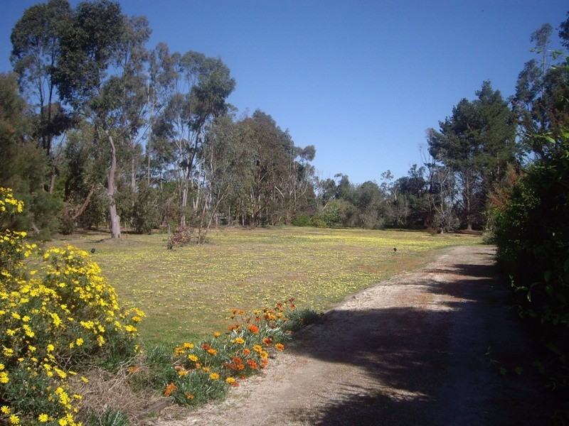 16 Park Street, Nagambie VIC 3608