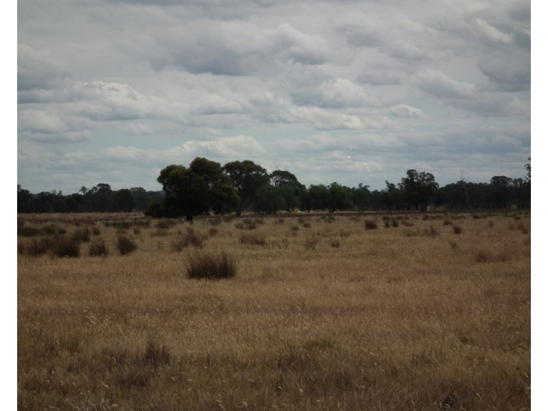 1 Dargalong Road, Tabilk VIC 3607