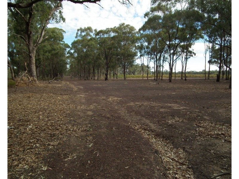 419 Buffalo Swamp Road, Whroo VIC 3612