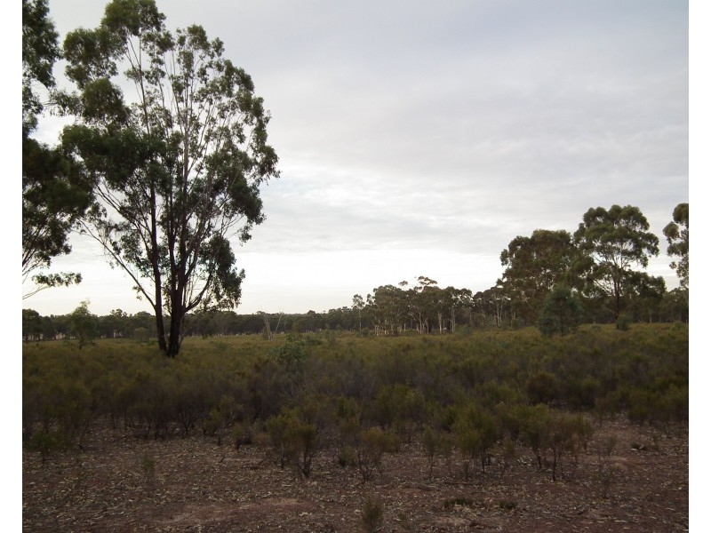 419 Buffalo Swamp Road, Whroo VIC 3612