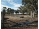 419 Buffalo Swamp Road, Whroo VIC 3612