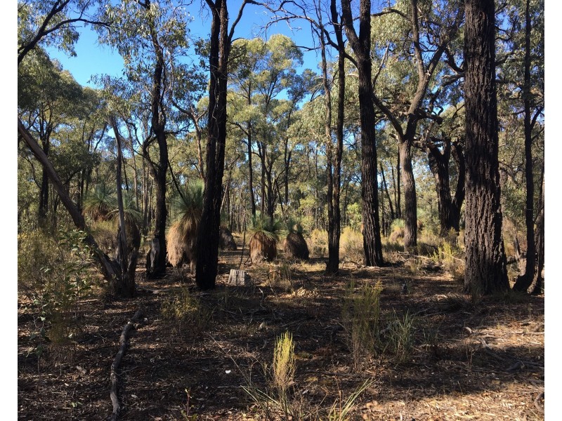 Lot 15 Gold Diggers Road, Bailieston VIC 3608