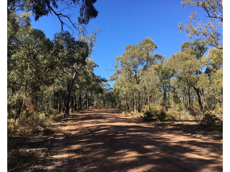 Lot 15 Gold Diggers Road, Bailieston VIC 3608