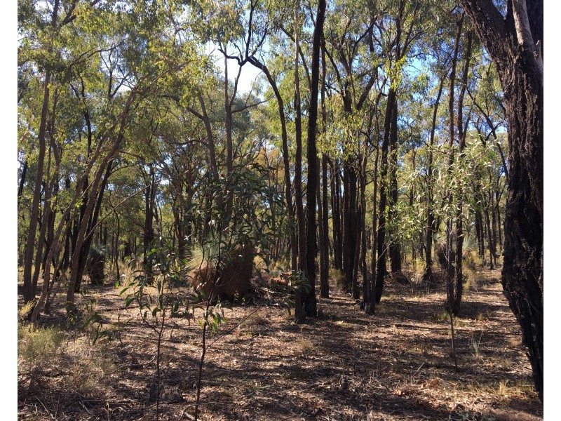 Lot 15 Gold Diggers Road, Bailieston VIC 3608