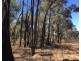 Lot 15 Gold Diggers Road, Bailieston VIC 3608