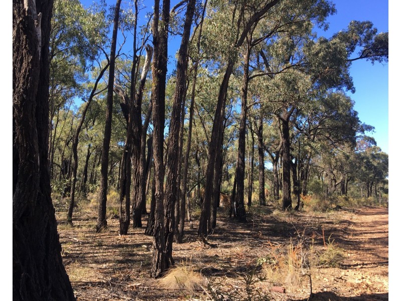 Lot 15 Gold Diggers Road, Bailieston VIC 3608