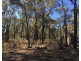 Lot 15 Gold Diggers Road, Bailieston VIC 3608