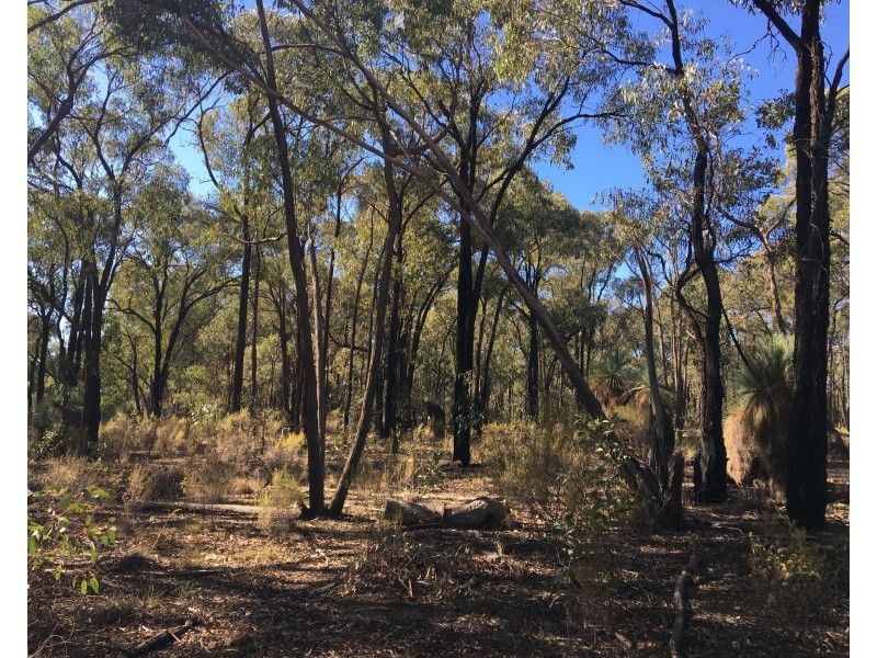 Lot 15 Gold Diggers Road, Bailieston VIC 3608