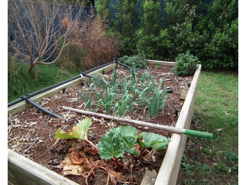 3 Park Street, Nagambie VIC 3608