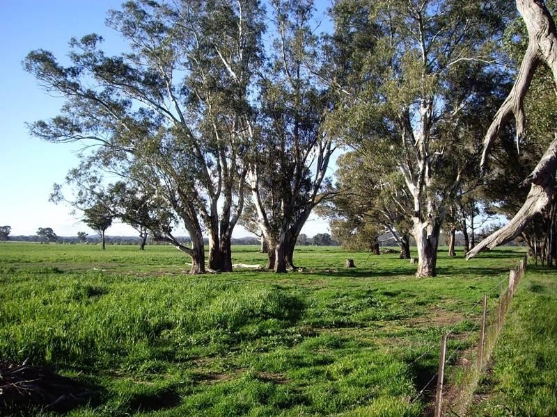 0 Nagambie Heathcote Road, Nagambie VIC 3608