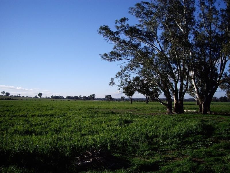 0 Nagambie Heathcote Road, Nagambie VIC 3608