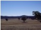 0 Nagambie Heathcote Road, Nagambie VIC 3608