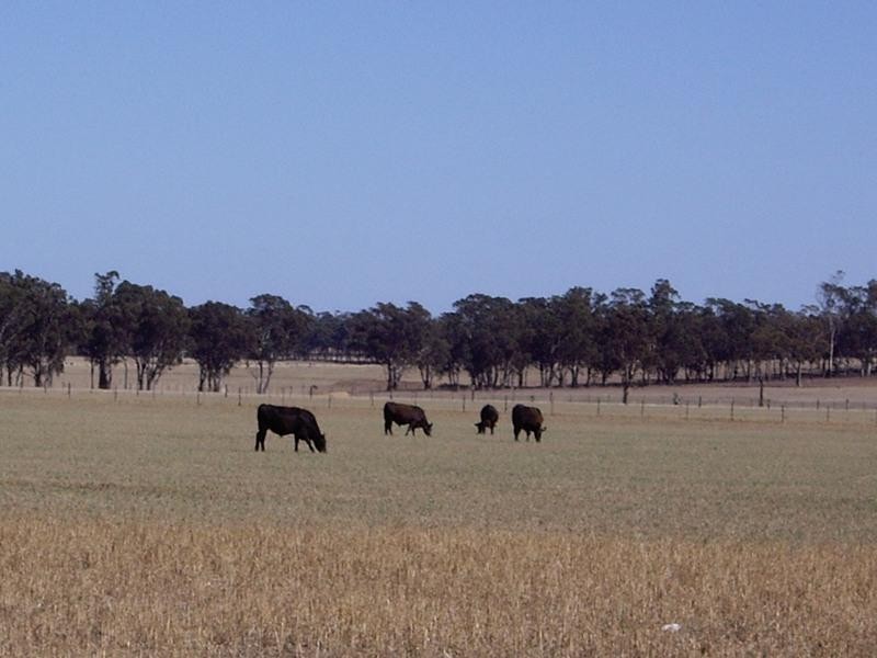 CA 7 Heathcote Nagambie Road, Nagambie VIC 3608
