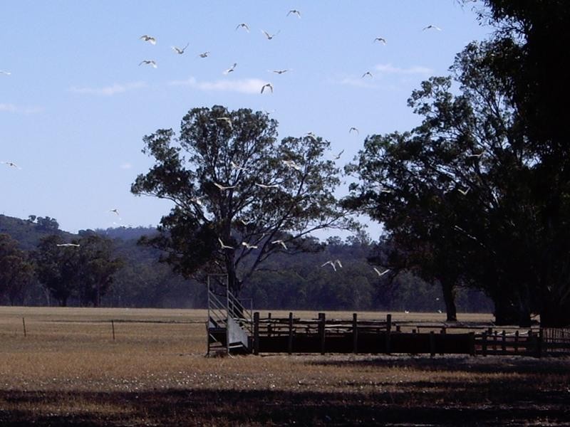 CA 7 Heathcote Nagambie Road, Nagambie VIC 3608