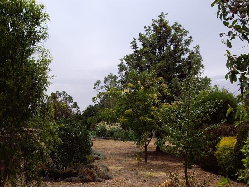 1 Cemetery Lane, Nagambie VIC 3608