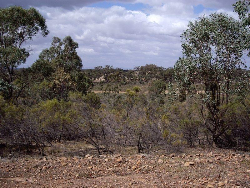 Lot 2 Verges Lane, Nagambie VIC 3608