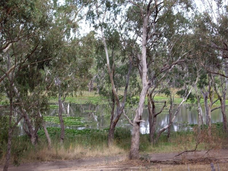 40 Kirwans Bridge-Longwood Road, Nagambie VIC 3608