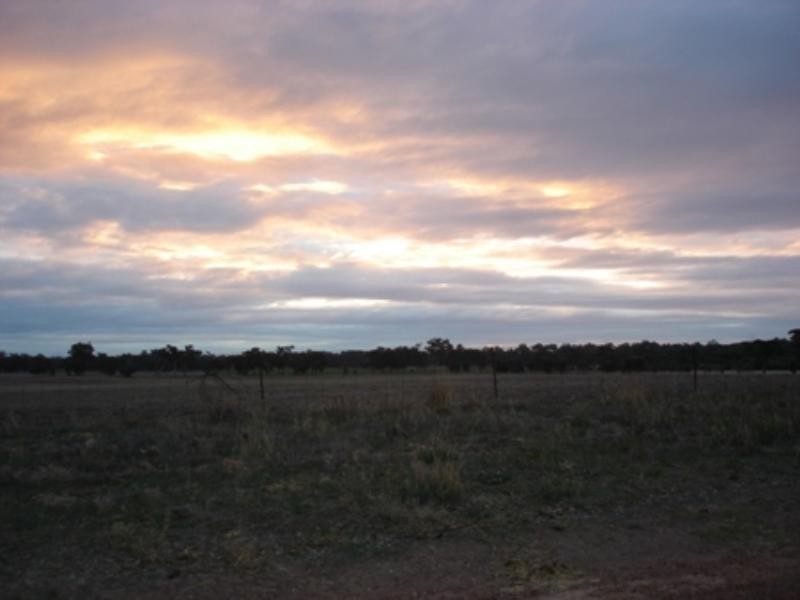 64 McMiekens Road, Nalinga VIC 3646