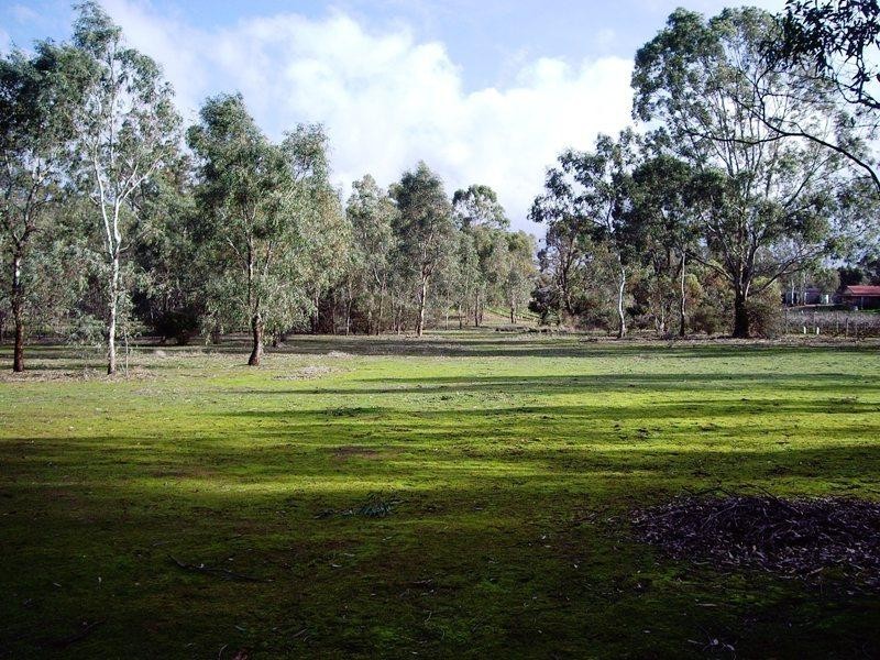 60 Reynolds Court, Graytown VIC 3608