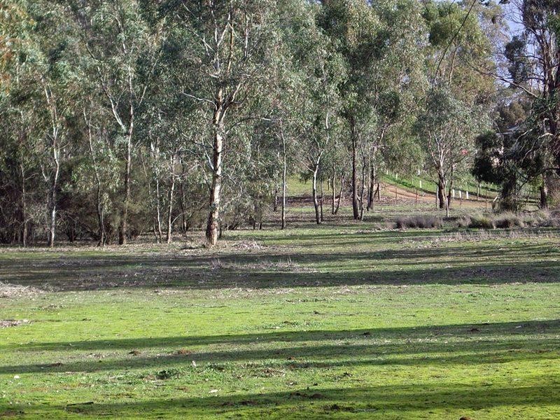 60 Reynolds Court, Graytown VIC 3608