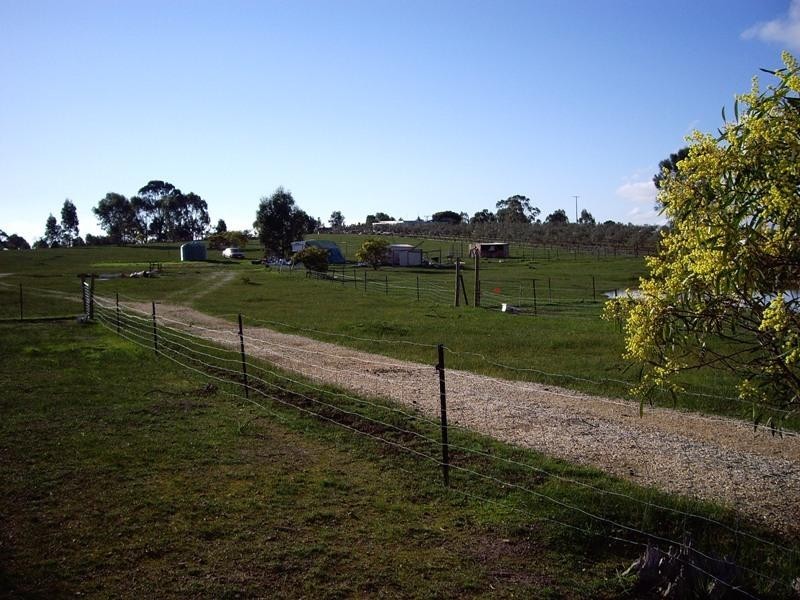 239 Segafredos Lane, Graytown VIC 3608