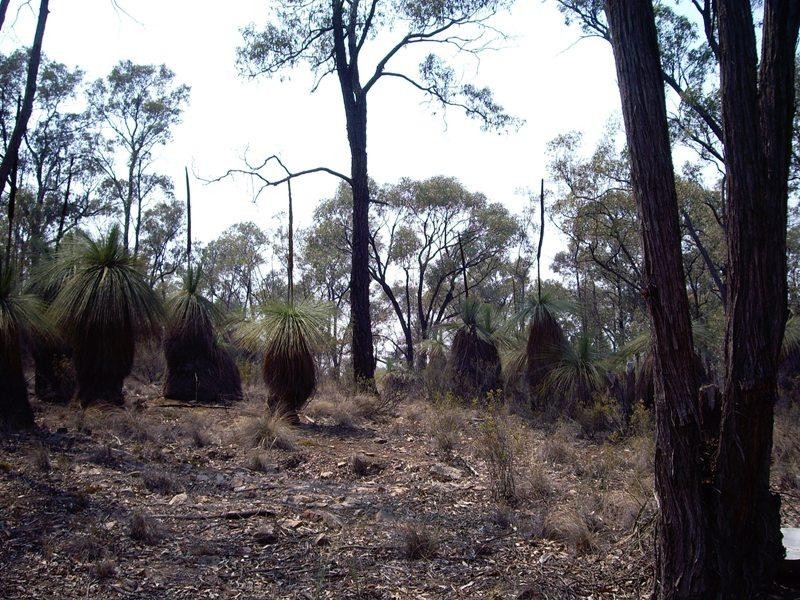 249 Gold Diggers Road, Bailieston VIC 3608