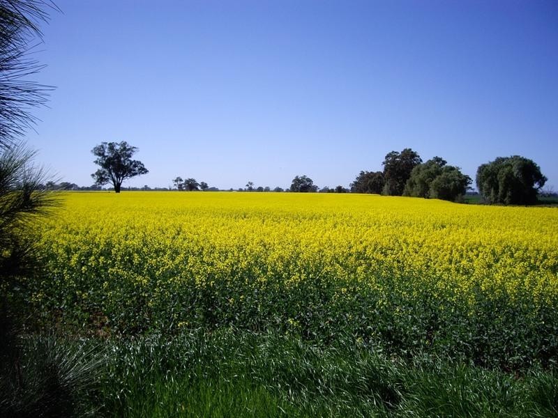 CA 67A1)pt), Kirwans Bridge-Longwood Road, Nagambie VIC 3608