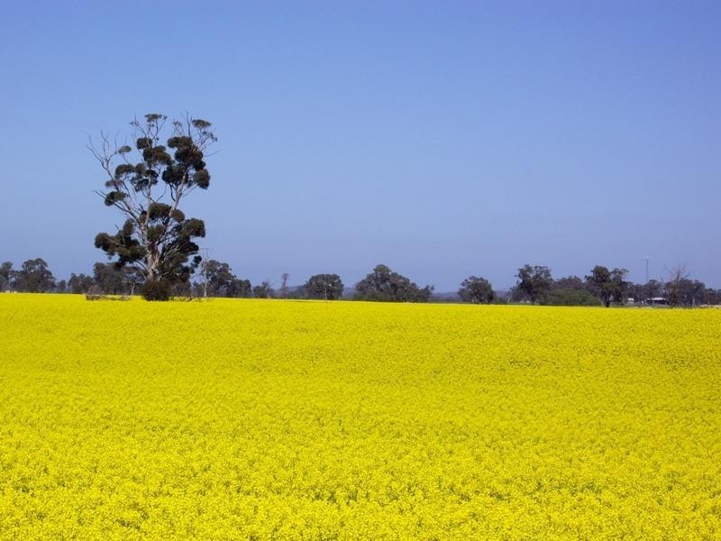 CA 67A1)pt), Kirwans Bridge-Longwood Road, Nagambie VIC 3608