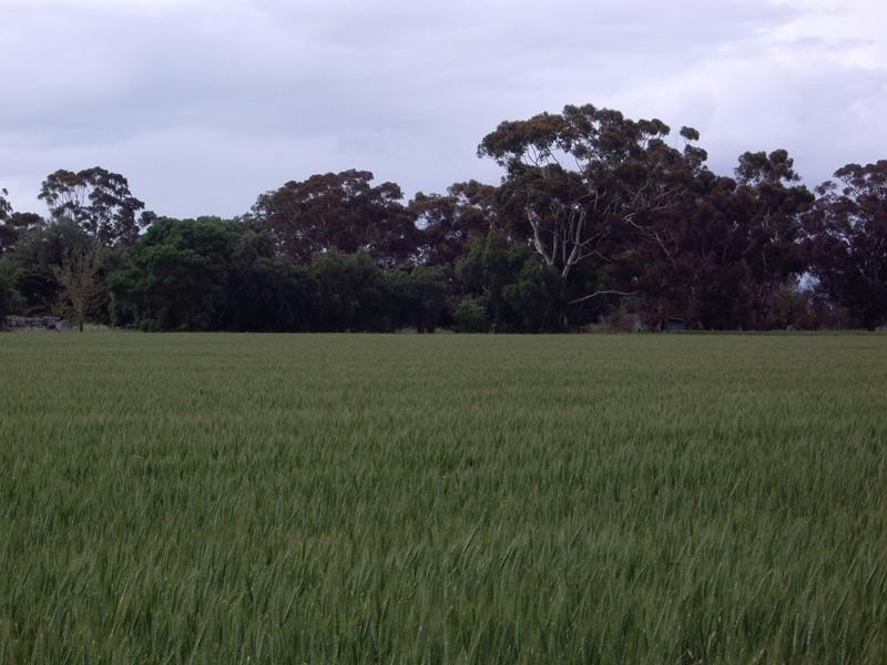 CA 45A1(pt), Cnr McDonalds & Kirwans Bridge-Longwood Road, Nagambie VIC 3608