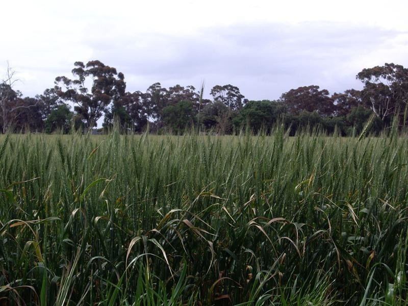 CA 45A1(pt), Cnr McDonalds & Kirwans Bridge-Longwood Road, Nagambie VIC 3608