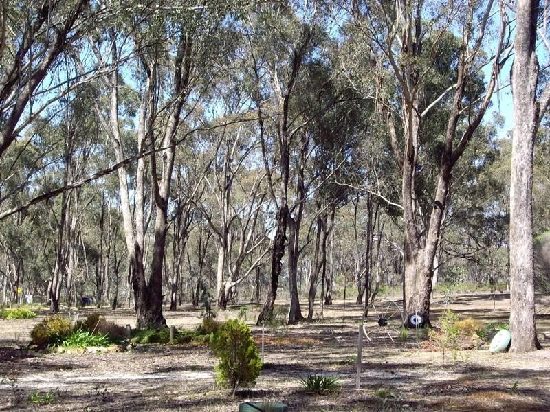 810 Goulburn Weir Road, Murchison VIC 3610