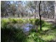 810 Goulburn Weir Road, Murchison VIC 3610
