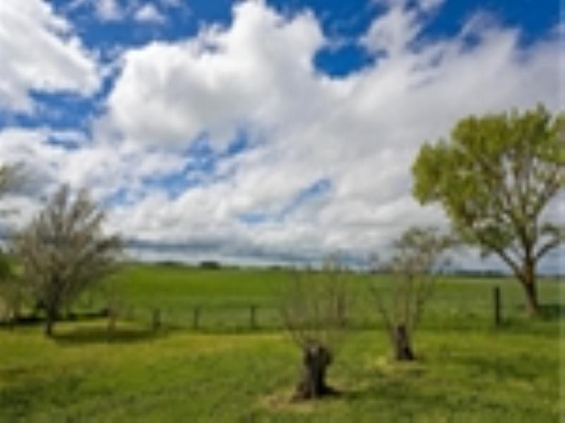 1215 Coragulac Beeac Road, Beeac VIC 3251