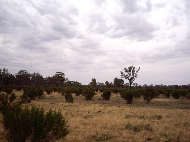 CA 81 Hudson Road, Bailieston VIC 3608