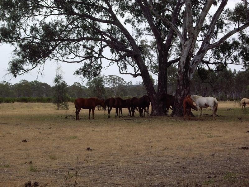 CA 81 Hudson Road, Bailieston VIC 3608