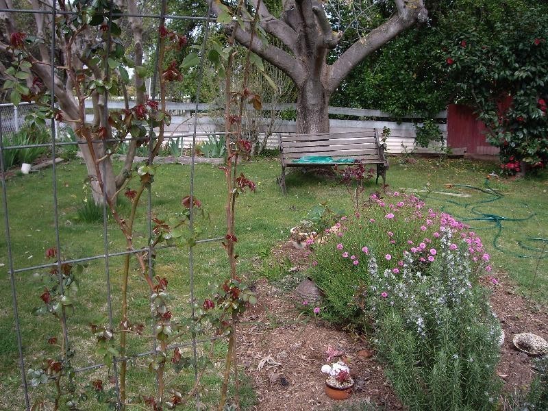 7 Robinson Street, Nagambie VIC 3608