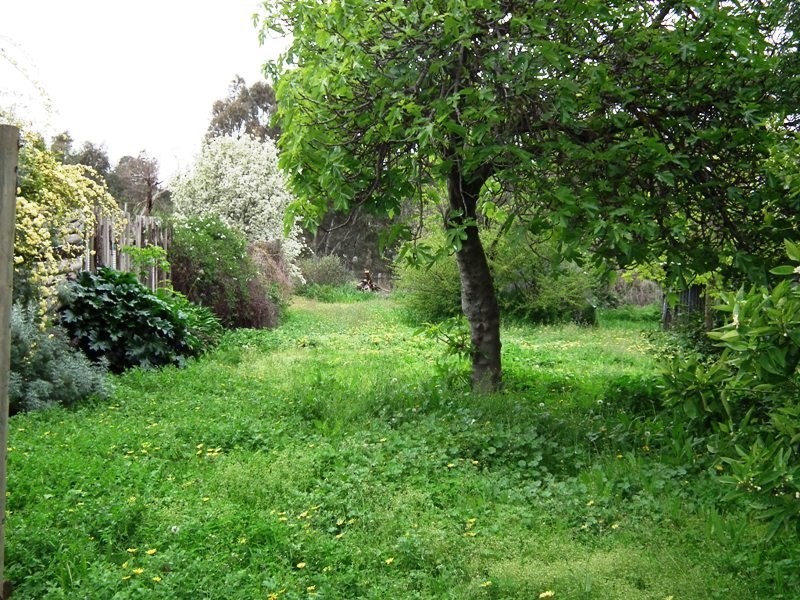 8 Longwood Road, Avenel VIC 3664