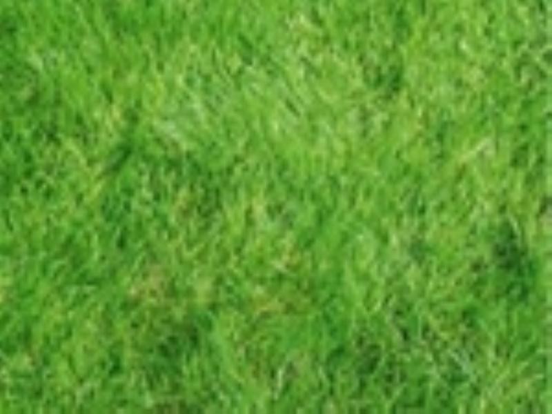 37 Chancery Way, Taylors Hill VIC 3037