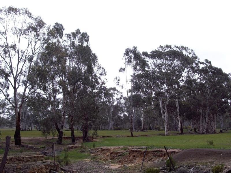 CA 50, Sect 5 Verges Lane, Nagambie VIC 3608
