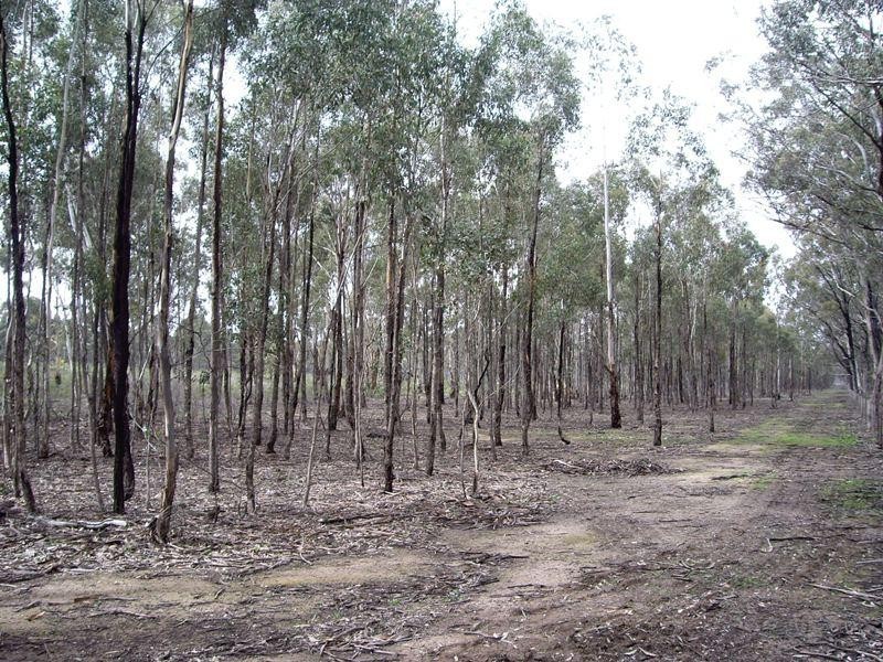 CA 50, Sect 5 Verges Lane, Nagambie VIC 3608