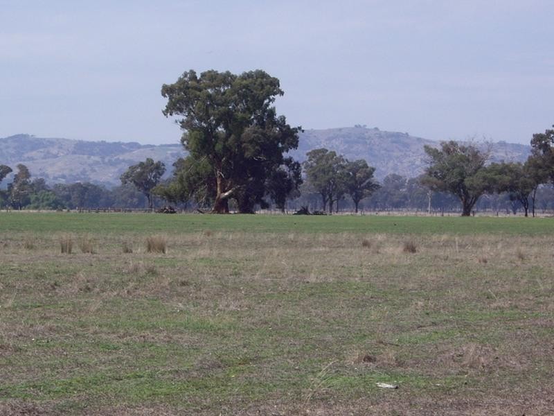 CA 15A 15B 15C Tabilk-Monea Road, Nagambie VIC 3608