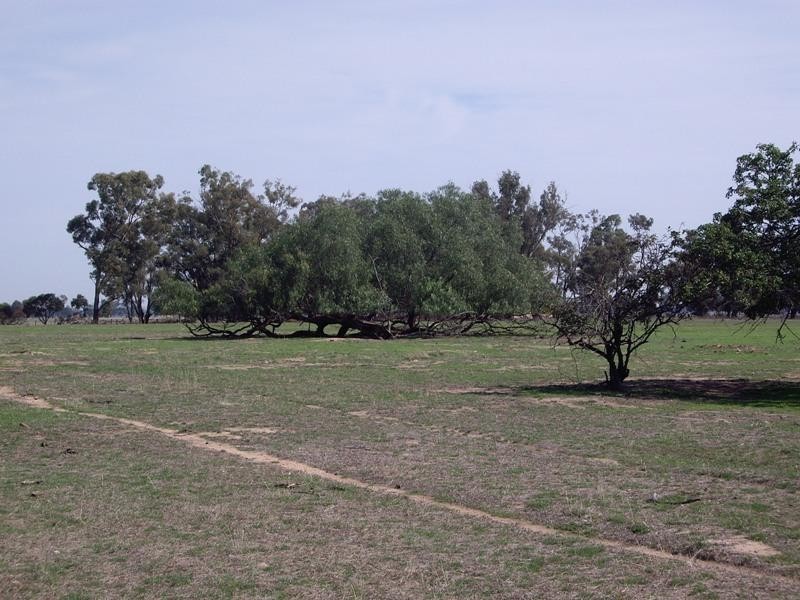 CA 15A 15B 15C Tabilk-Monea Road, Nagambie VIC 3608