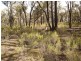 279 Cherry Tree Lane, Nagambie VIC 3608