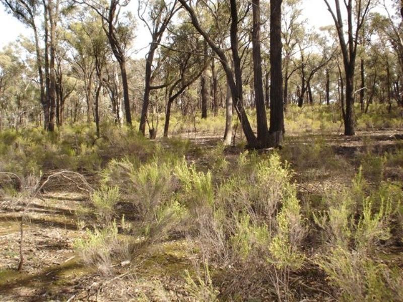 279 Cherry Tree Lane, Nagambie VIC 3608